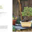 The Little Book of Bonsai: An Easy Guide to Caring for Your Bonsai Tree