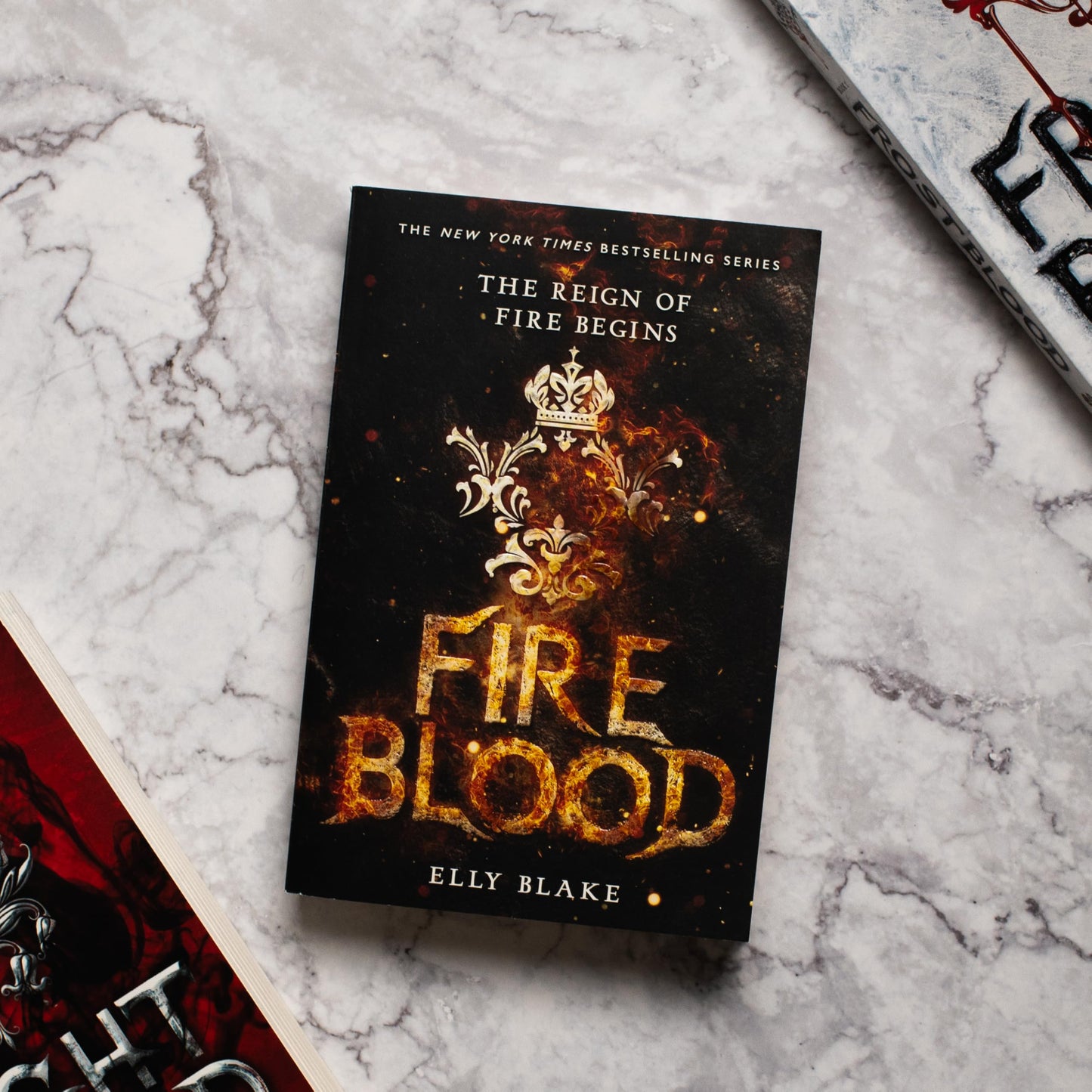 Fireblood (The Frostblood Saga, 2)