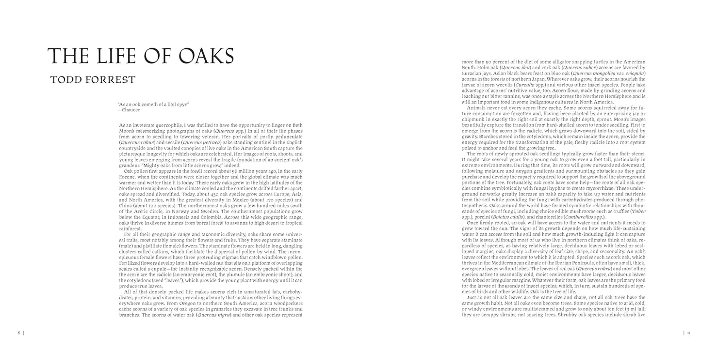 Oak: From Seed to Ancient Tree