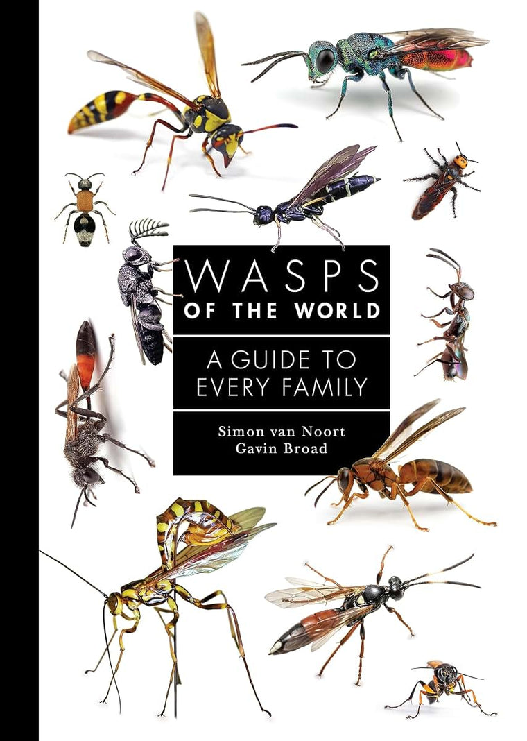 Wasps of the World: A Guide to Every Family (A Guide to Every Family, 8)