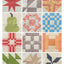 Sampler Spree: 100+ Fresh & Fun Quilt Blocks