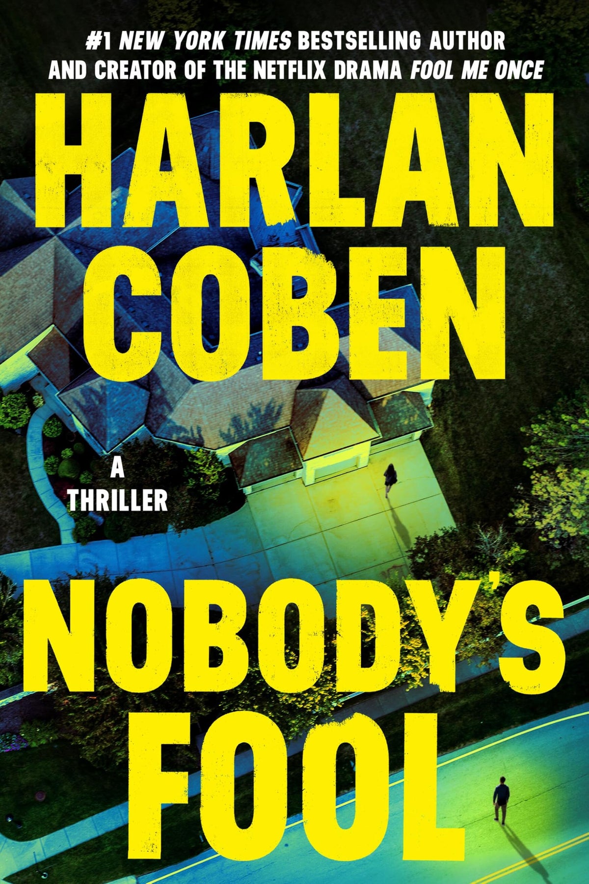 Nobody's Fool (Detective Kierce, 2)