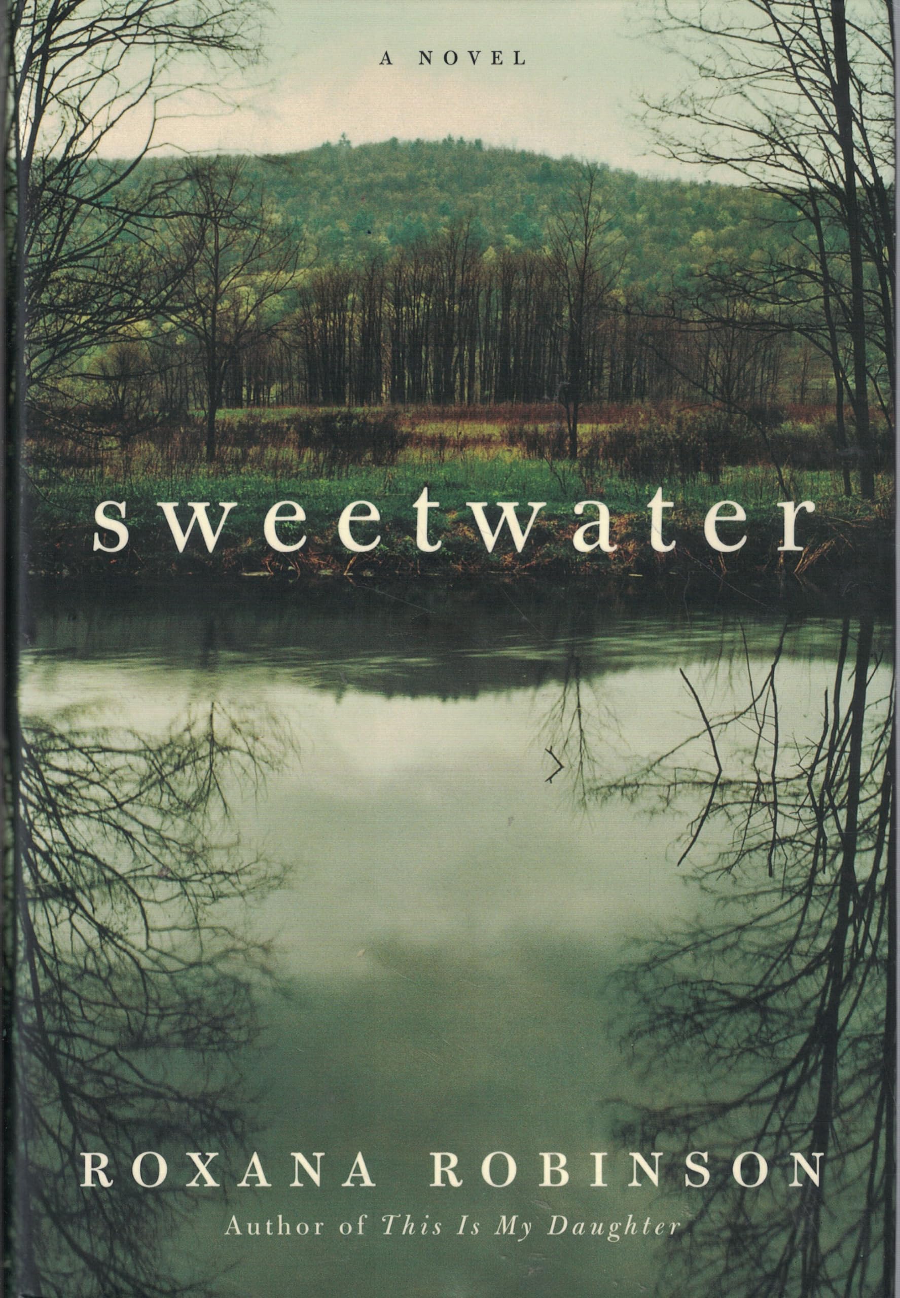 Sweetwater: A Novel