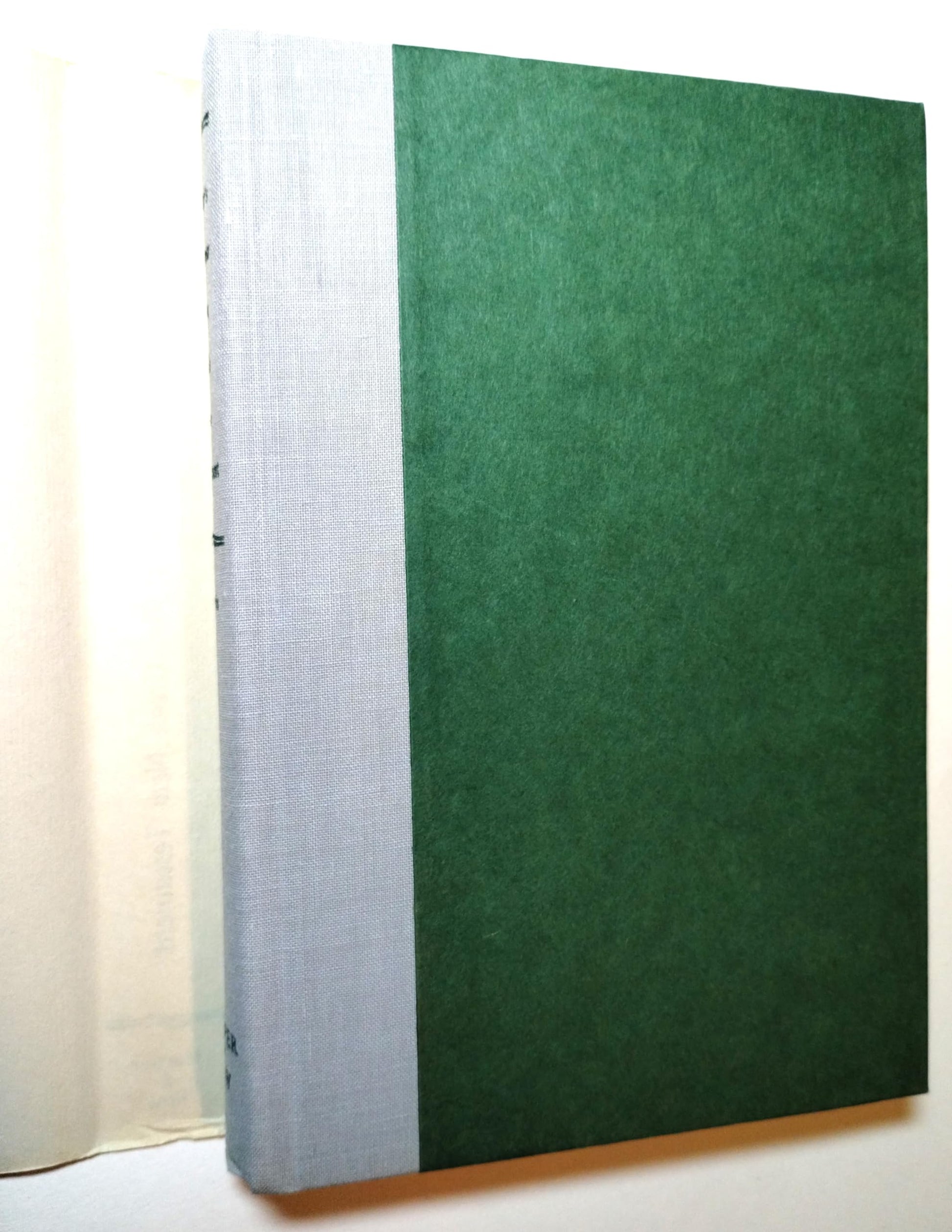 Beginners Grammar of the Greek New Testament