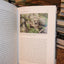 Rock Garden Design and Construction: North American Rock Garden Society
