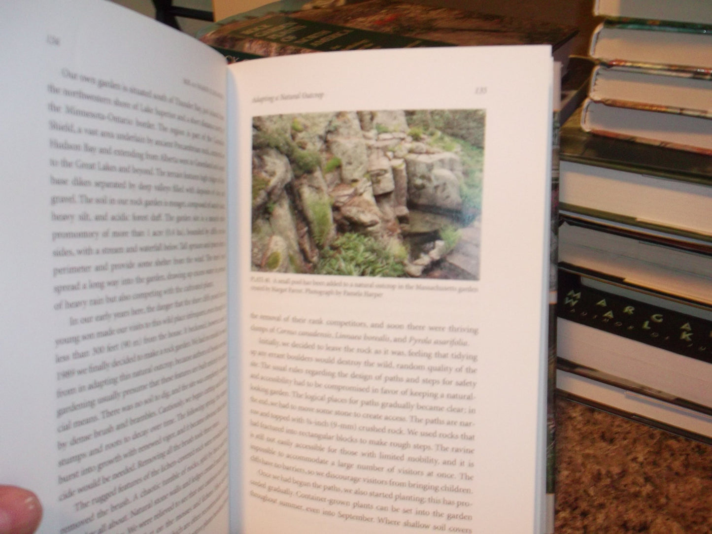 Rock Garden Design and Construction: North American Rock Garden Society