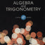 Algebra and Trigonometry 4th Ed