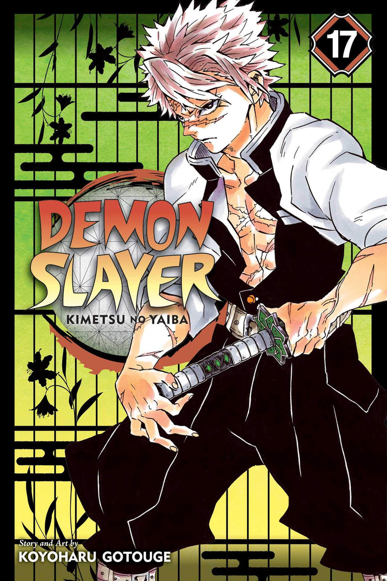 Demon Slayer: Kimetsu no Yaiba, Vol. 17: Successors