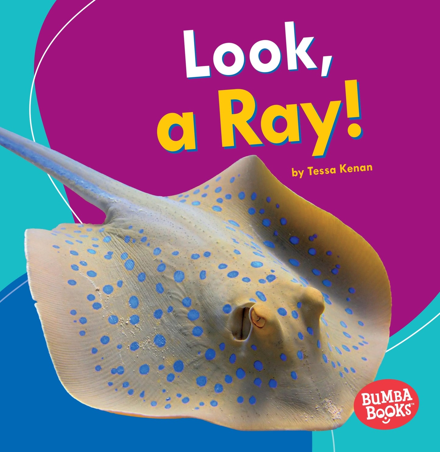 Look, a Ray! (Bumba Books  - I See Ocean Animals)