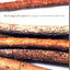 The Ecology of Freedom: The Emergence and Dissolution of Hierarchy
