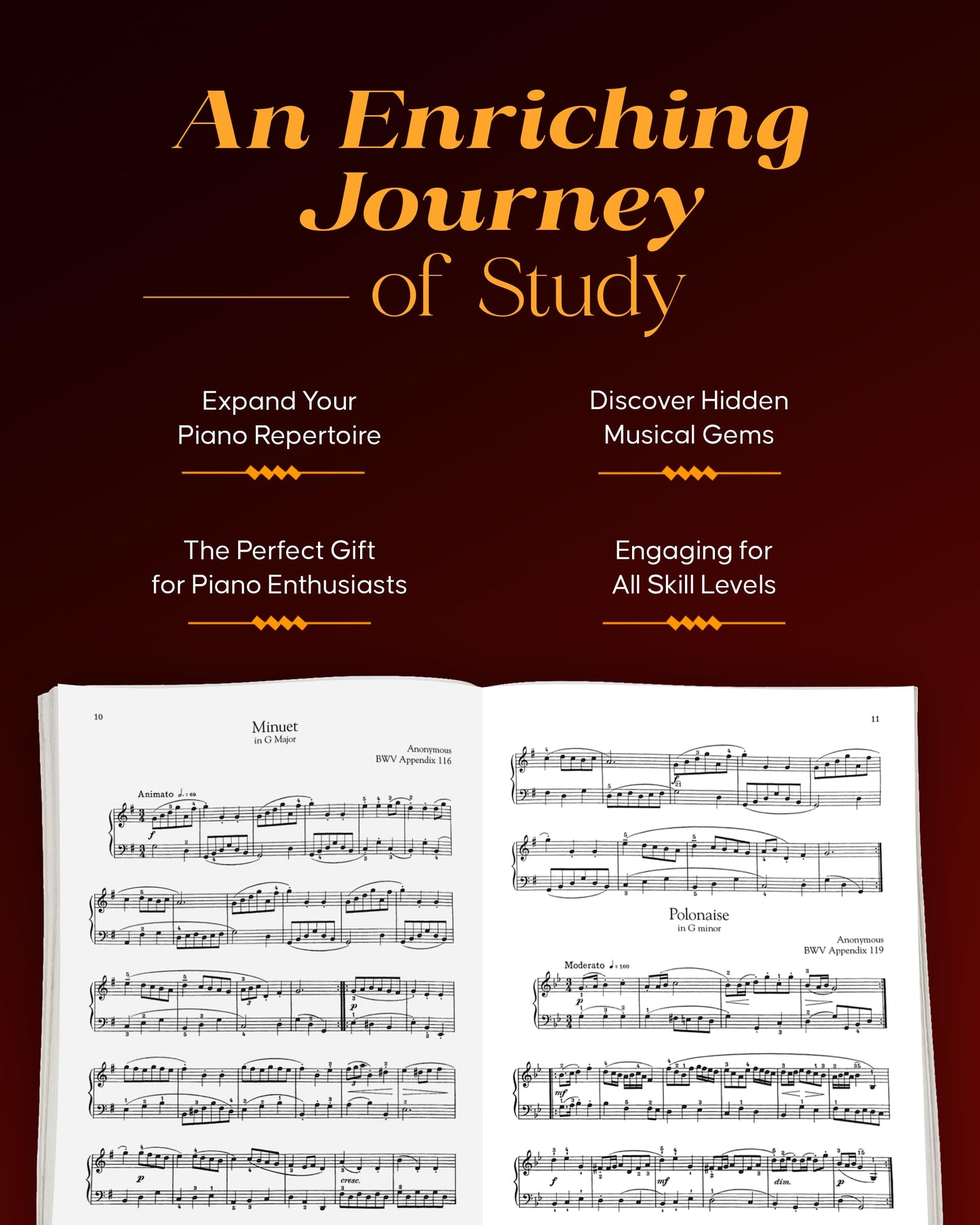 The Giant Book of Intermediate Classical Piano Music: Schirmer's Library of Musical Classics, Vol. 2139 (Schirmer's Library of Musical Classics, 2139) - Intermediate Music Book