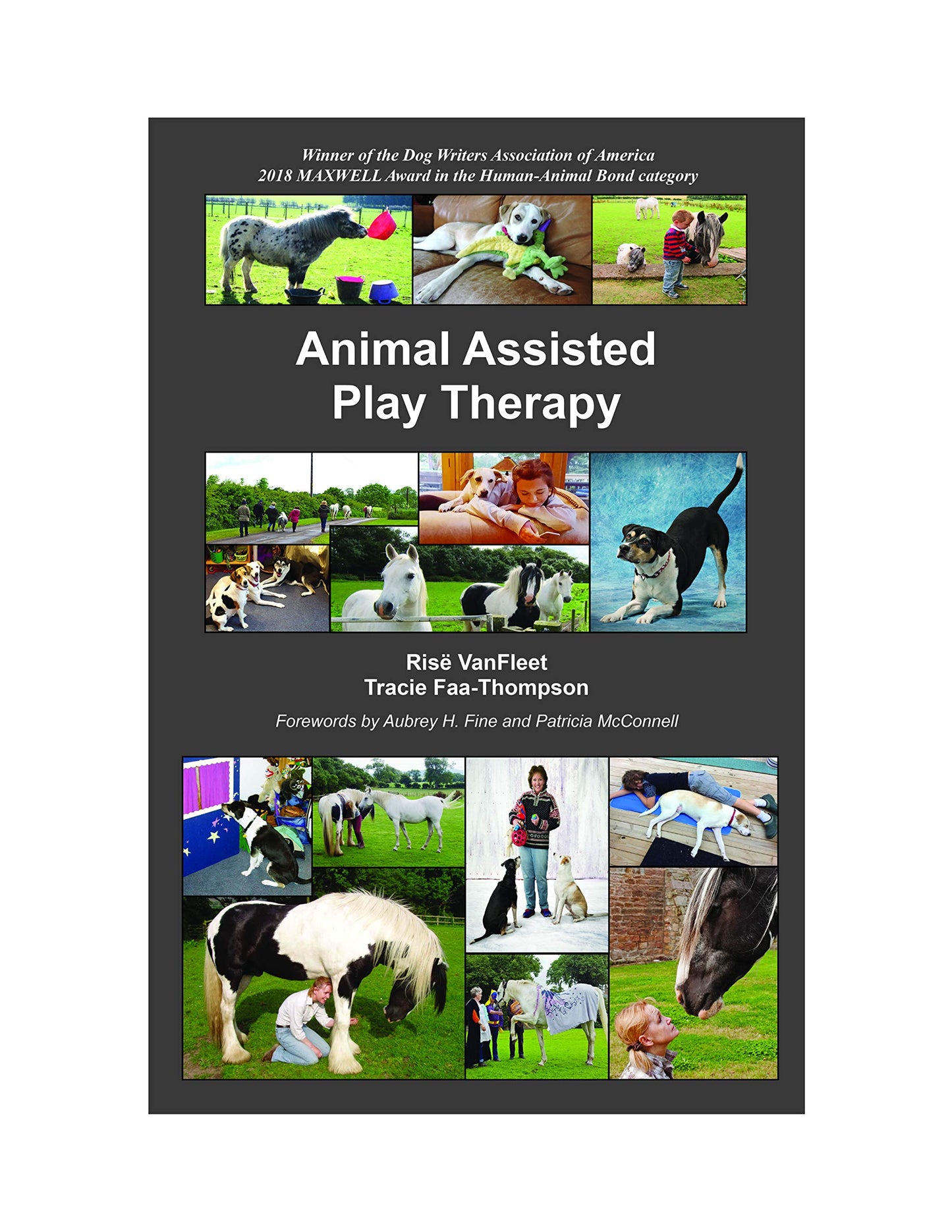 Animal Assisted Play Therapy