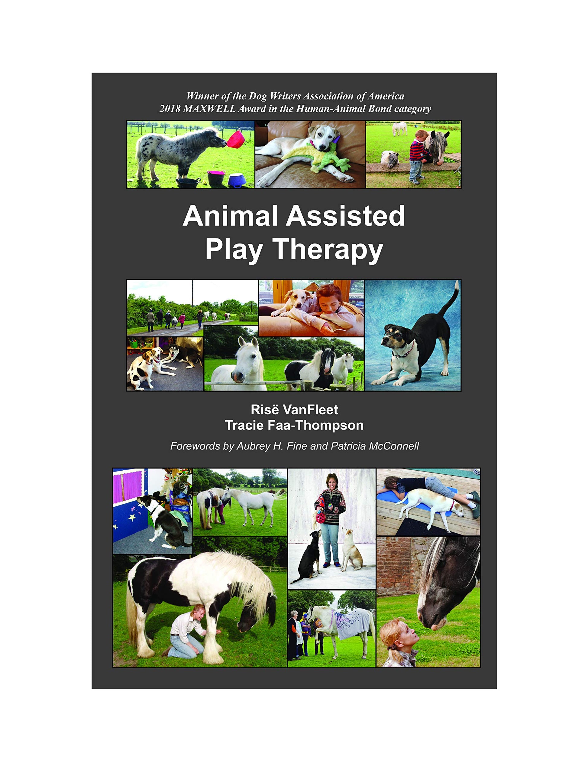 Animal Assisted Play Therapy