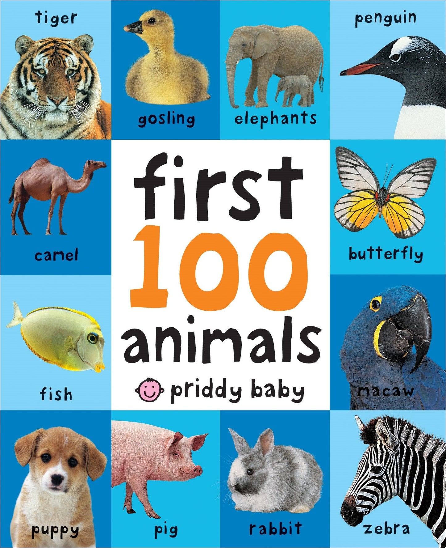 First 100 Big Board: Animals: In the bestselling First 100 series