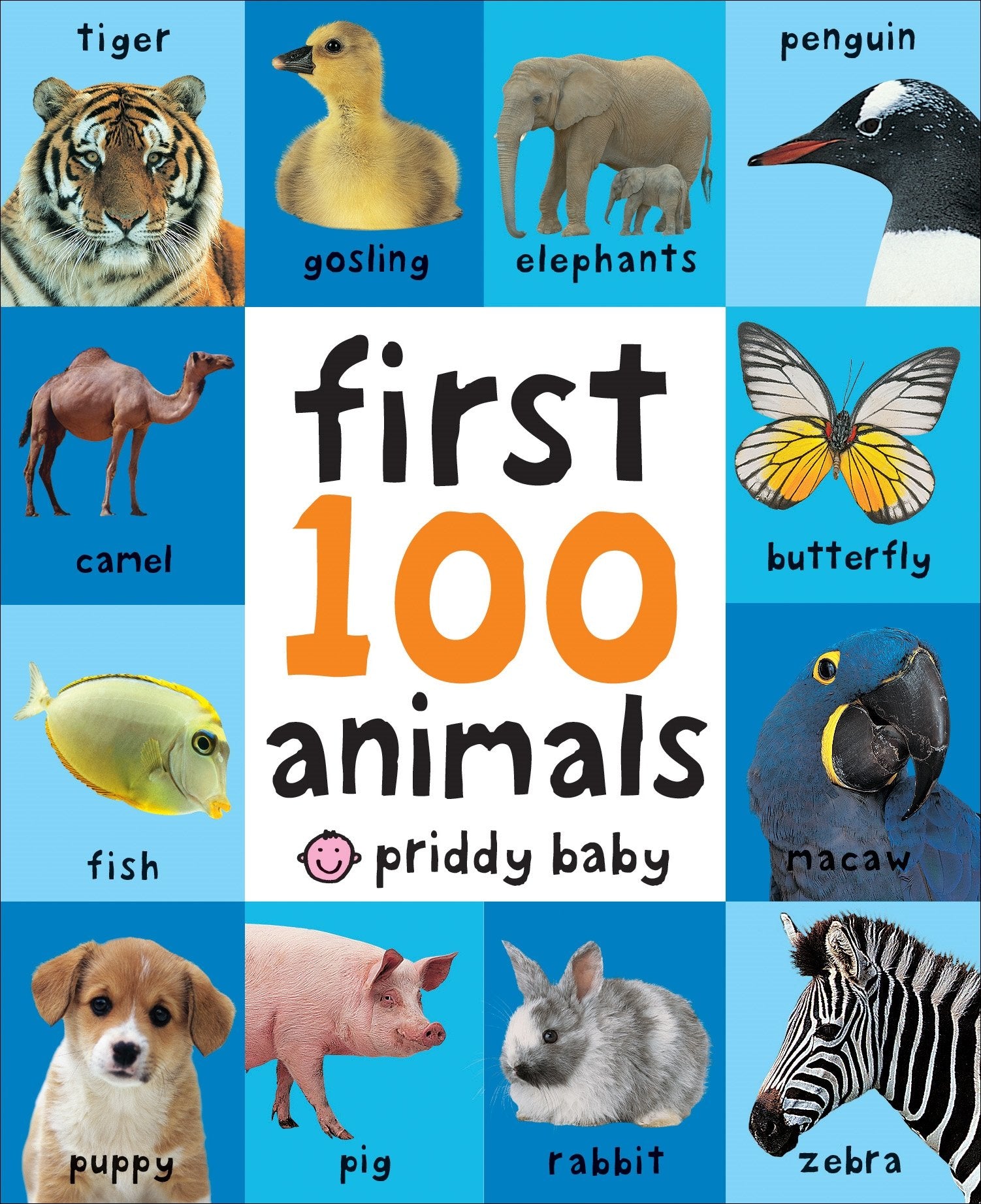 First 100 Big Board: Animals: In the bestselling First 100 series