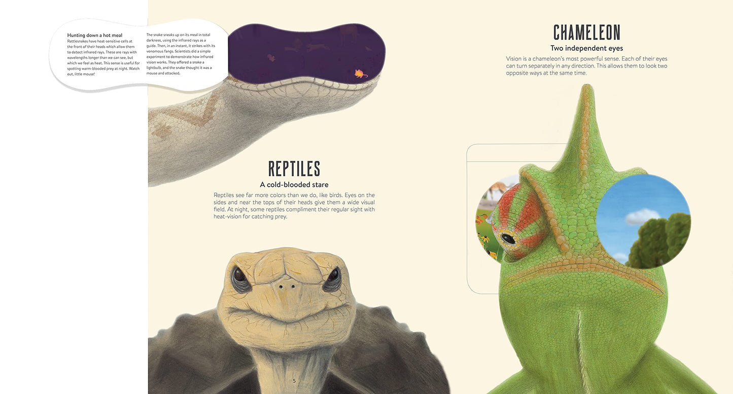 Eye Spy: Wild Ways Animals See the World