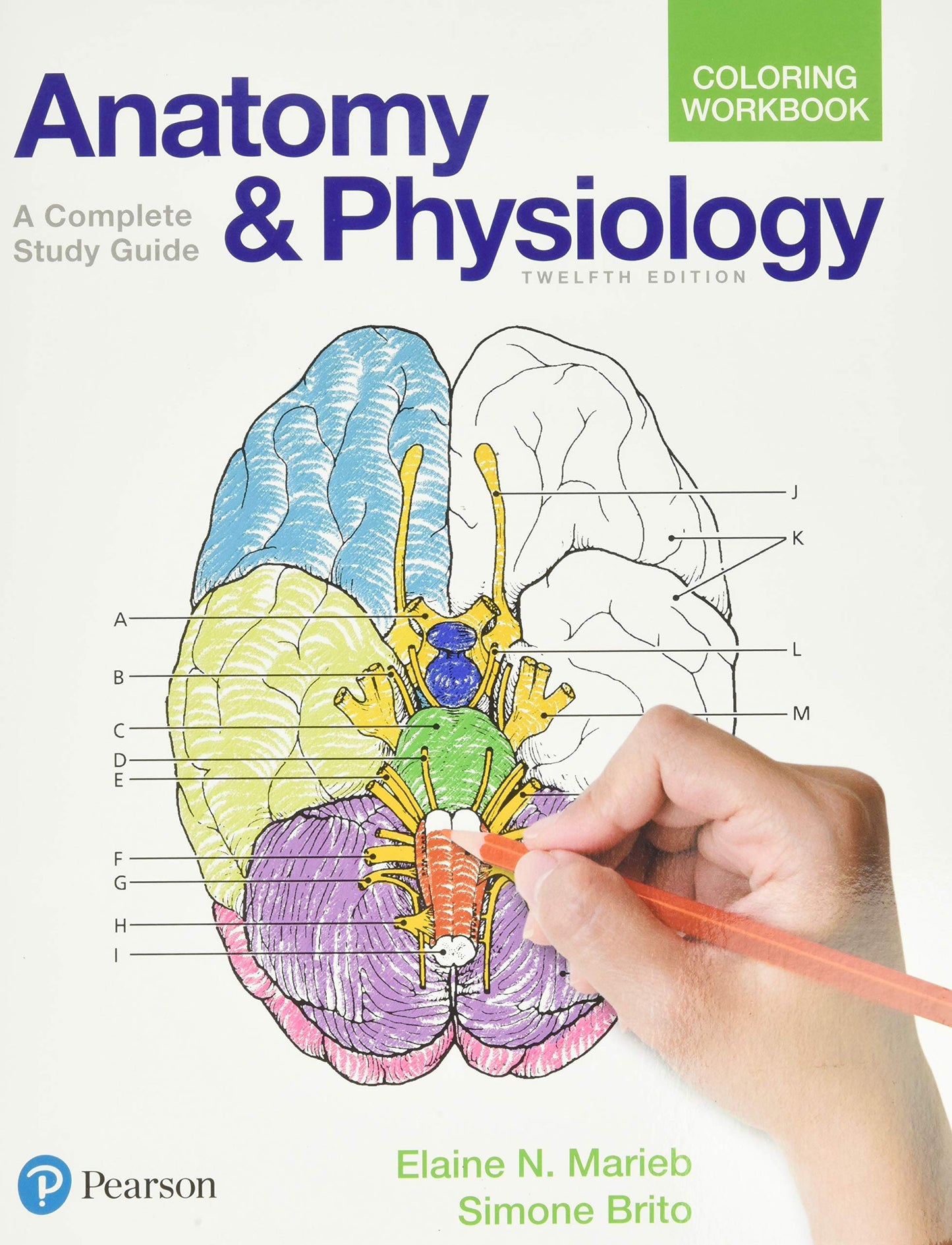 Anatomy and Physiology Coloring Workbook: A Complete Study G
