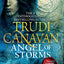Angel of Storms (Millennium's Rule, 2)