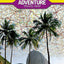 Brazil Map (National Geographic Adventure Map, 3401)