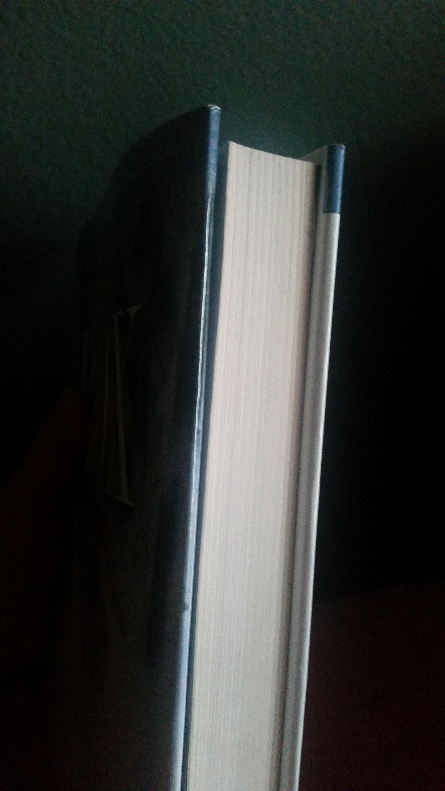 Winterkill (A Joe Pickett Novel)
