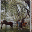 A Wonderful Time: An Intimate Portrait of the Good Life