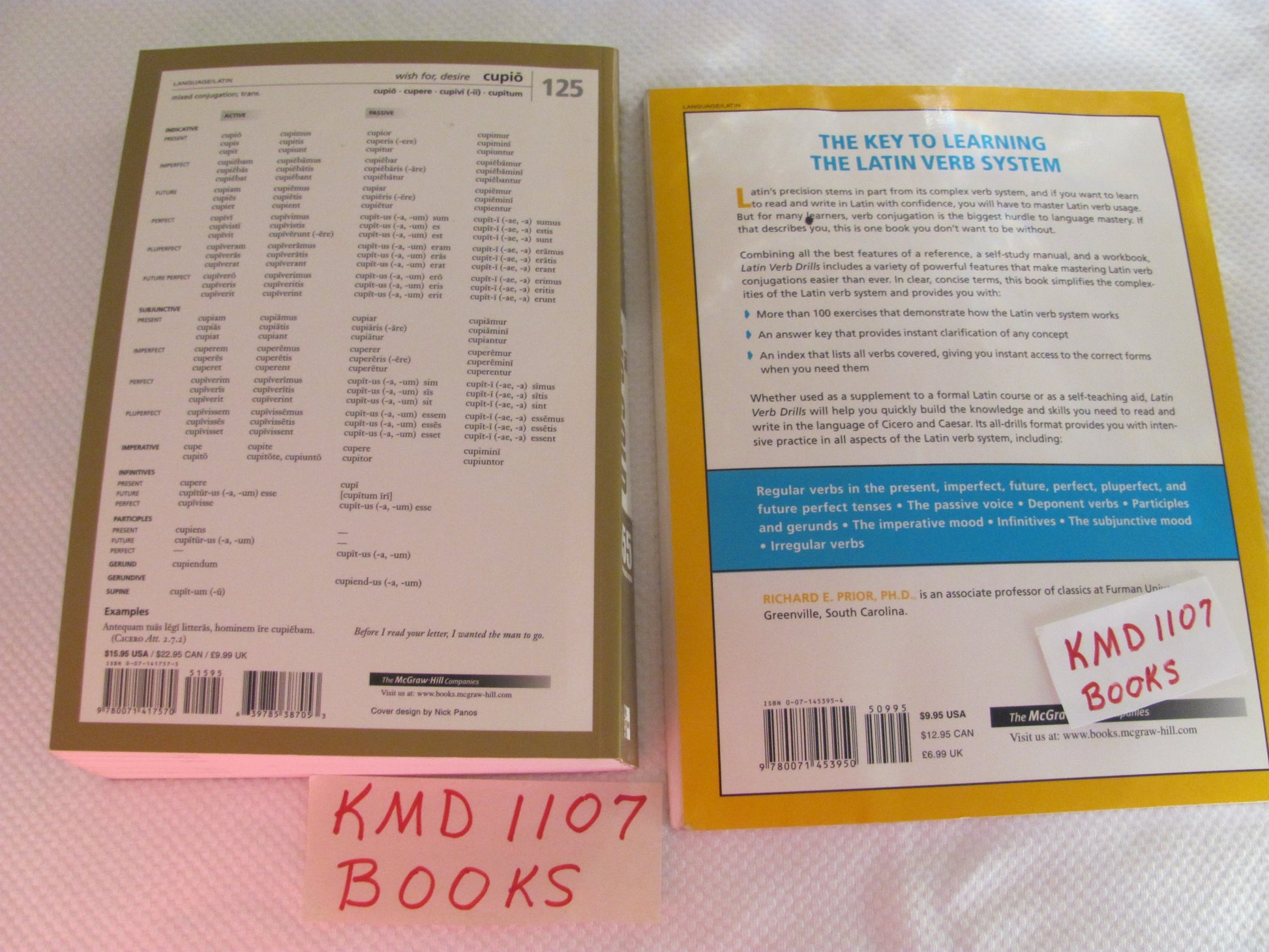 The Big Gold Book of Latin Verbs : 555 Verbs Fully Conjugated