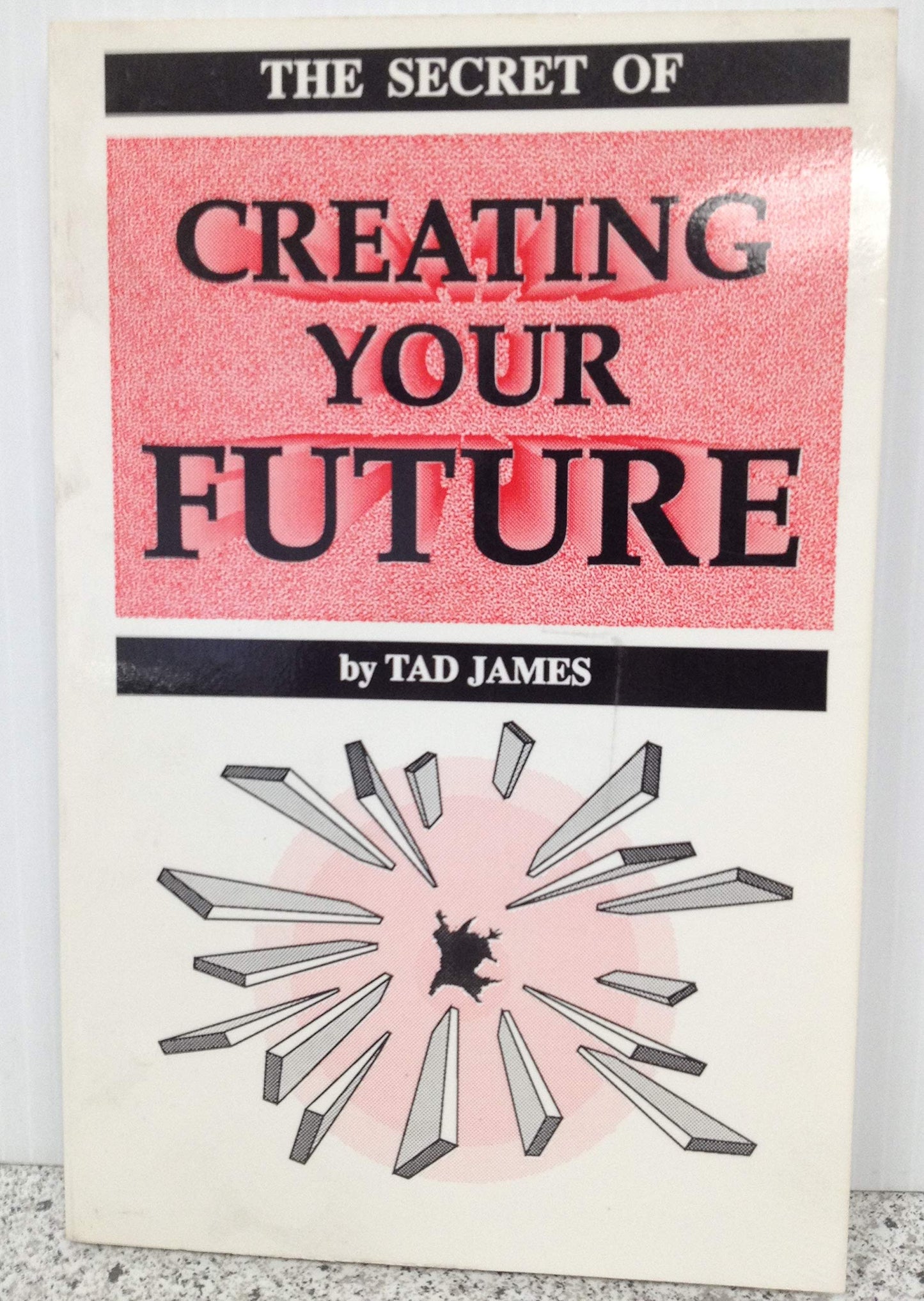 The Secret of Creating Your Future by Tad James