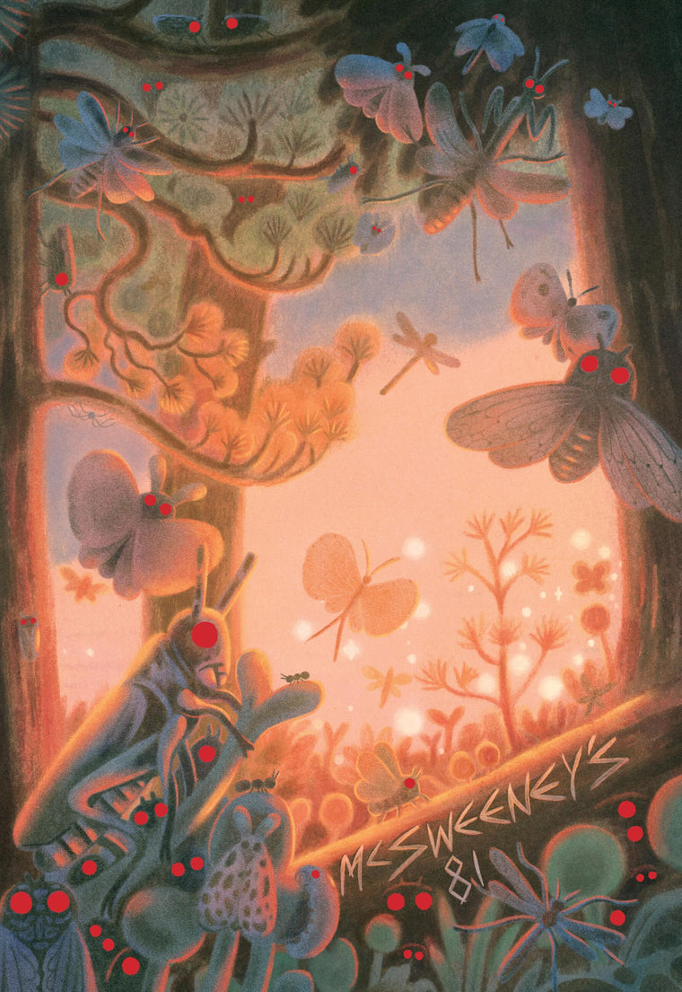 McSweeney's Issue 81 (McSweeney's Quarterly Concern)
