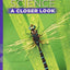 Science, A Closer Look, Grade 5, Student Edition (ELEMENTARY SCIENCE CLOSER LOOK)