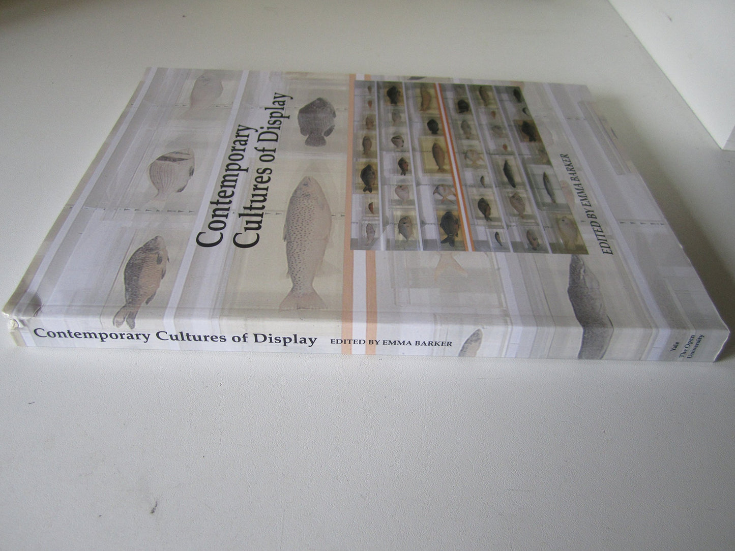 Contemporary Cultures of Display (Art and Its Histories Series)