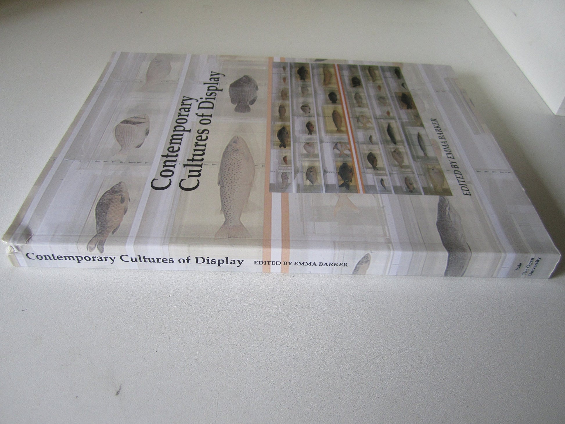 Contemporary Cultures of Display (Art and Its Histories Series)