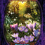 Witches' Wisdom Oracle Cards by Meiklejohn-Free, Barbara
