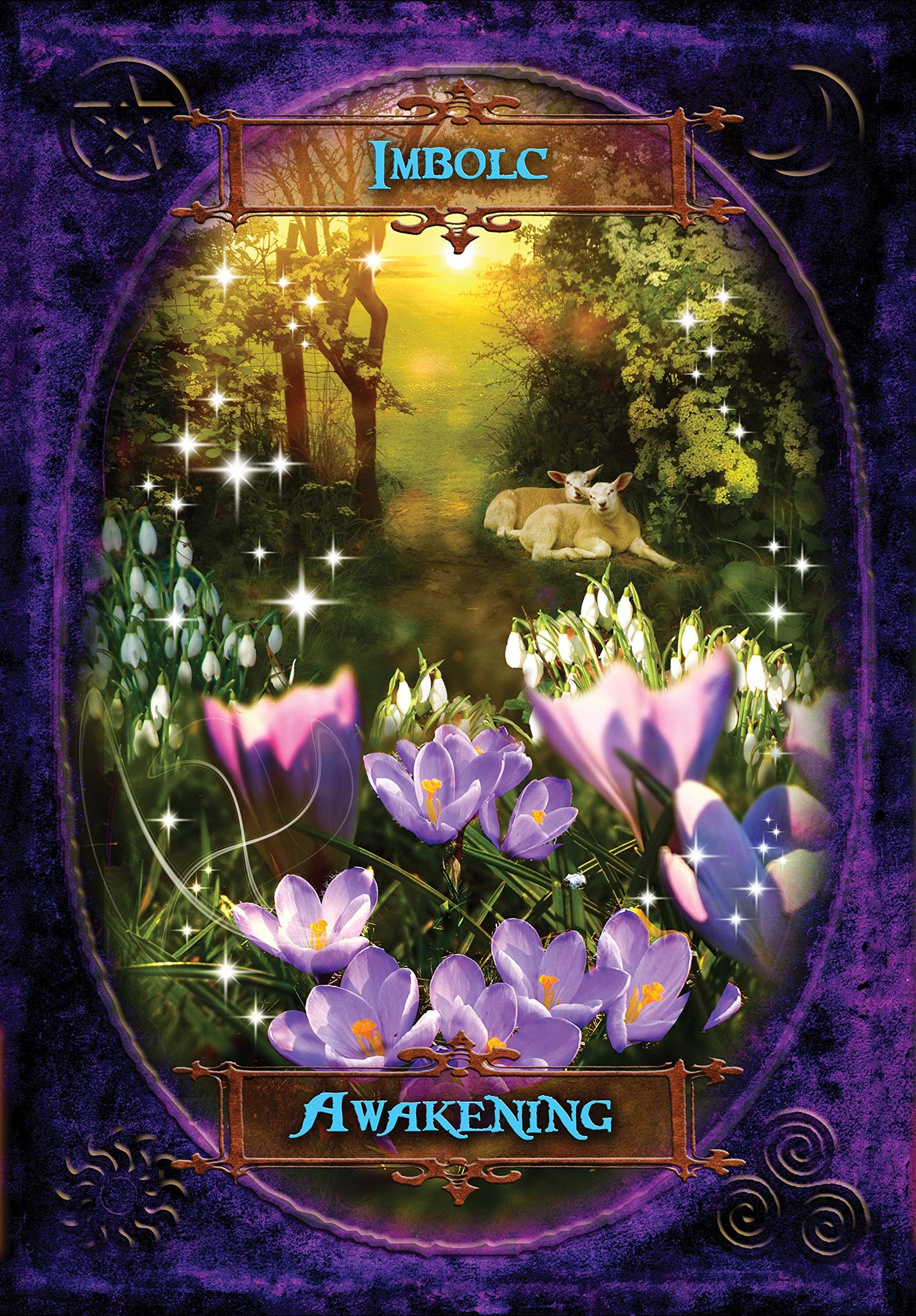 Witches' Wisdom Oracle Cards by Meiklejohn-Free, Barbara