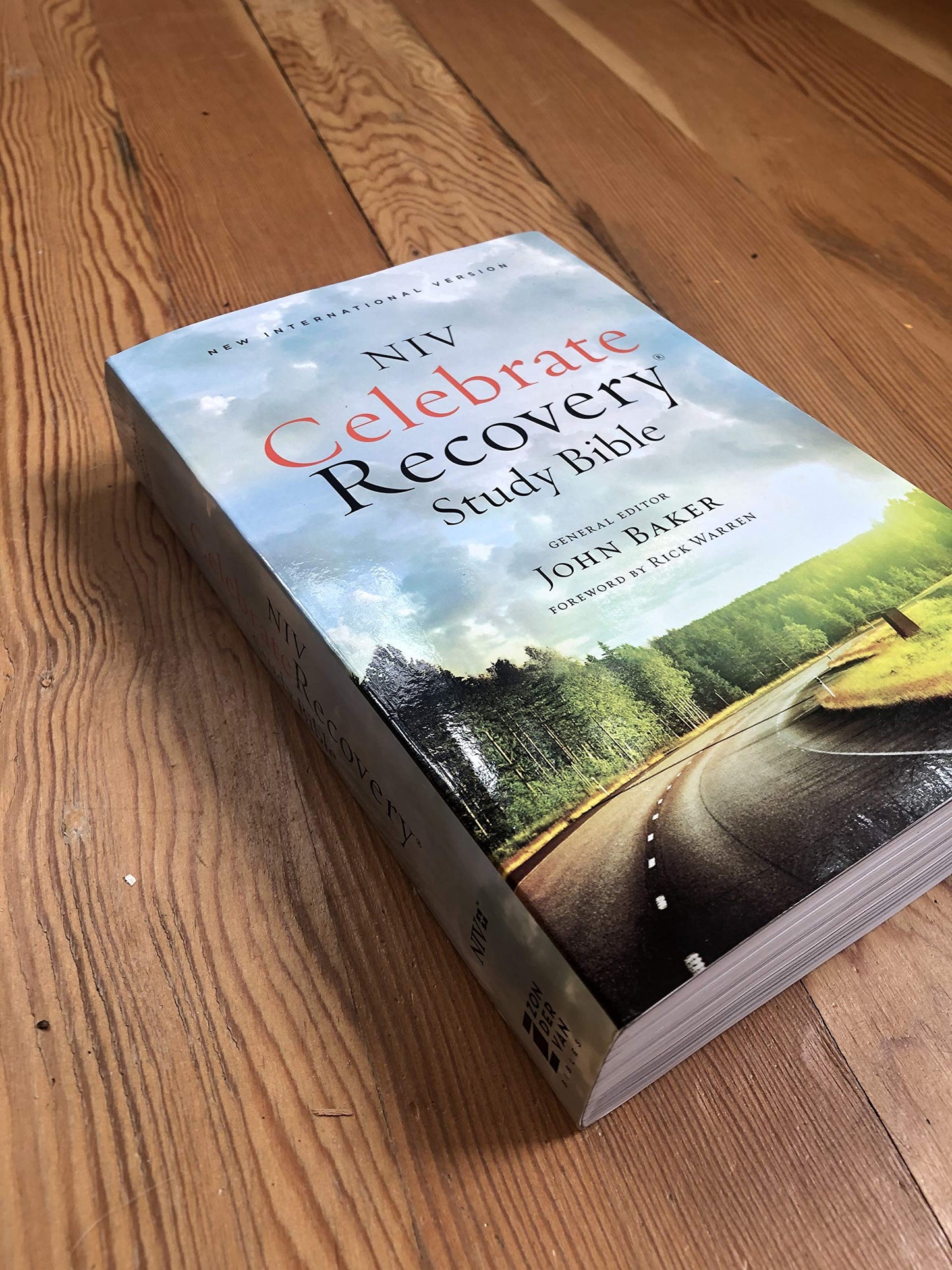 NIV, Celebrate Recovery Study Bible by Zondervan