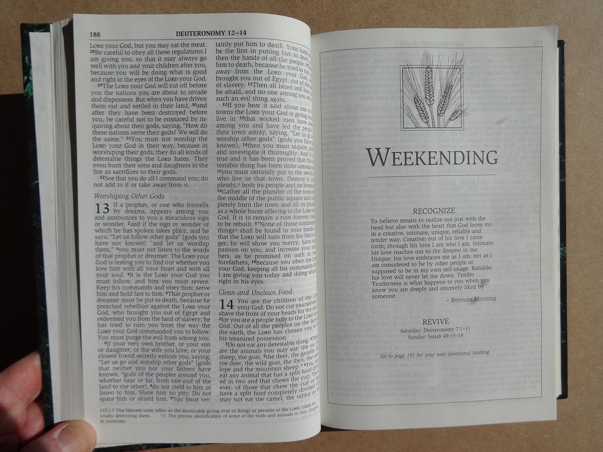 NIV Men's Devotional Bible: New International Version