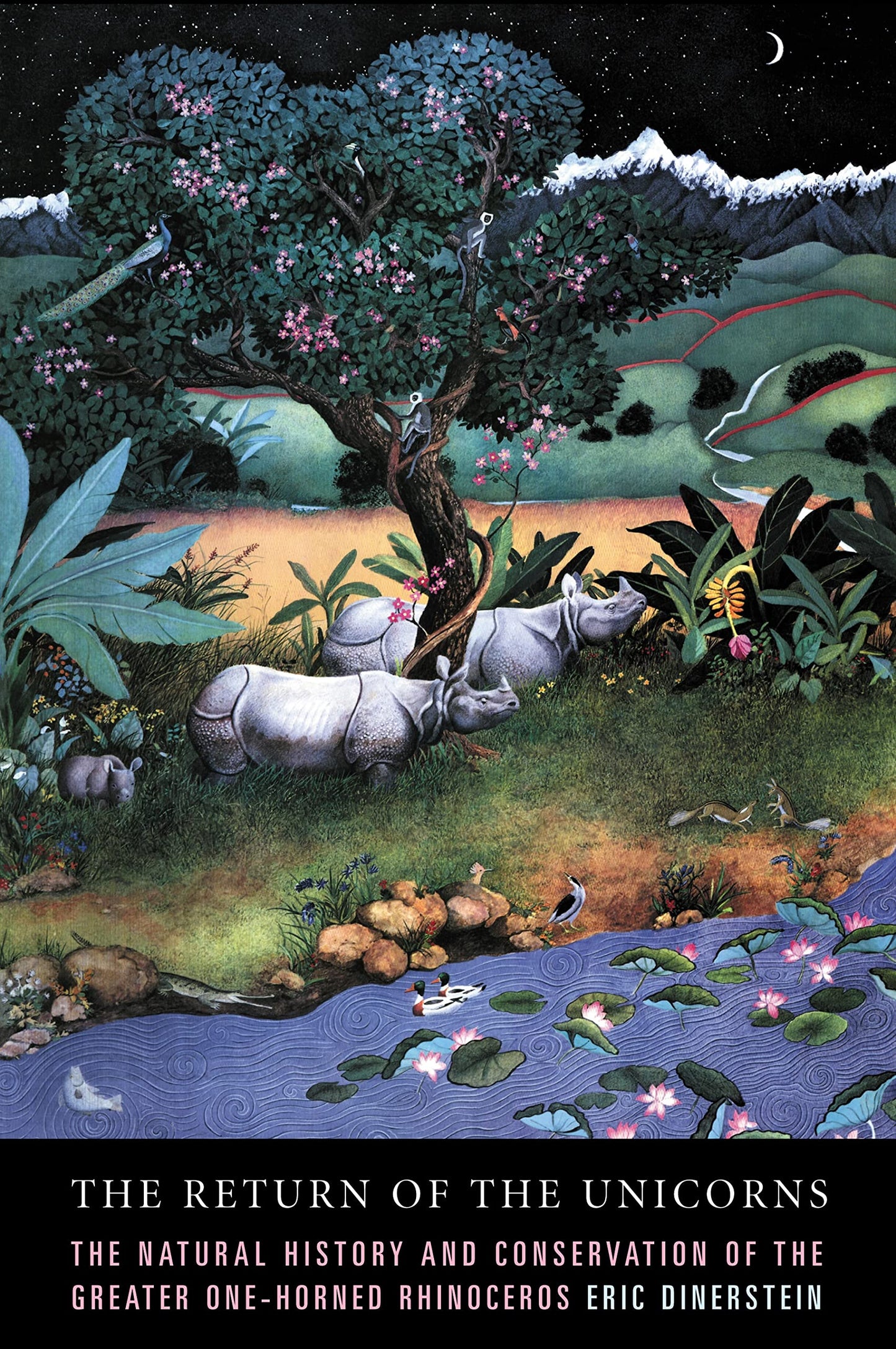 Return of the Unicorns by Dinerstein, Eric