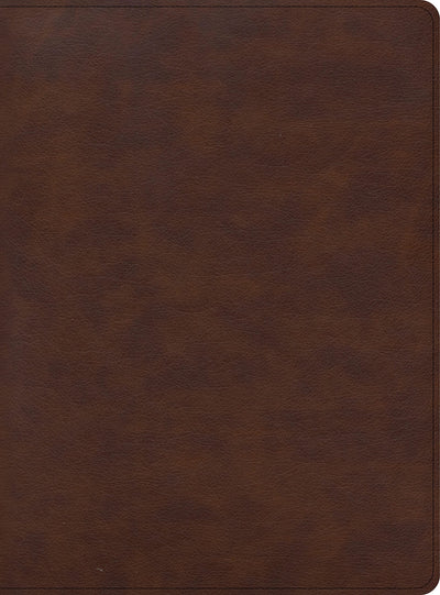 CSB Apologetics Study Bible for Students, Brown LeatherTouch, Black Letter, Defend Your Faith, Study Notes and Commentary, Articles, Profiles, Full-Color Maps, Easy-to-Read Bible Serif Type