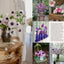 French Country Cottage in Bloom