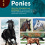 Art Studio: Horses & Ponies: More than 50 projects and techn