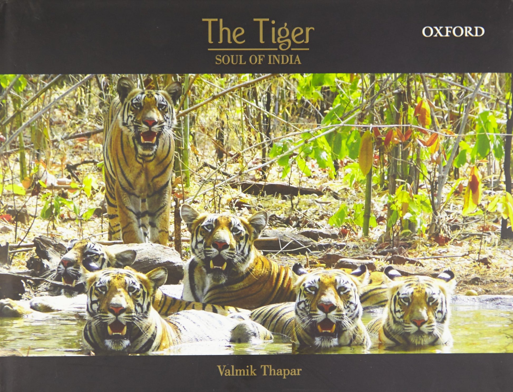 The Tiger: Soul of India