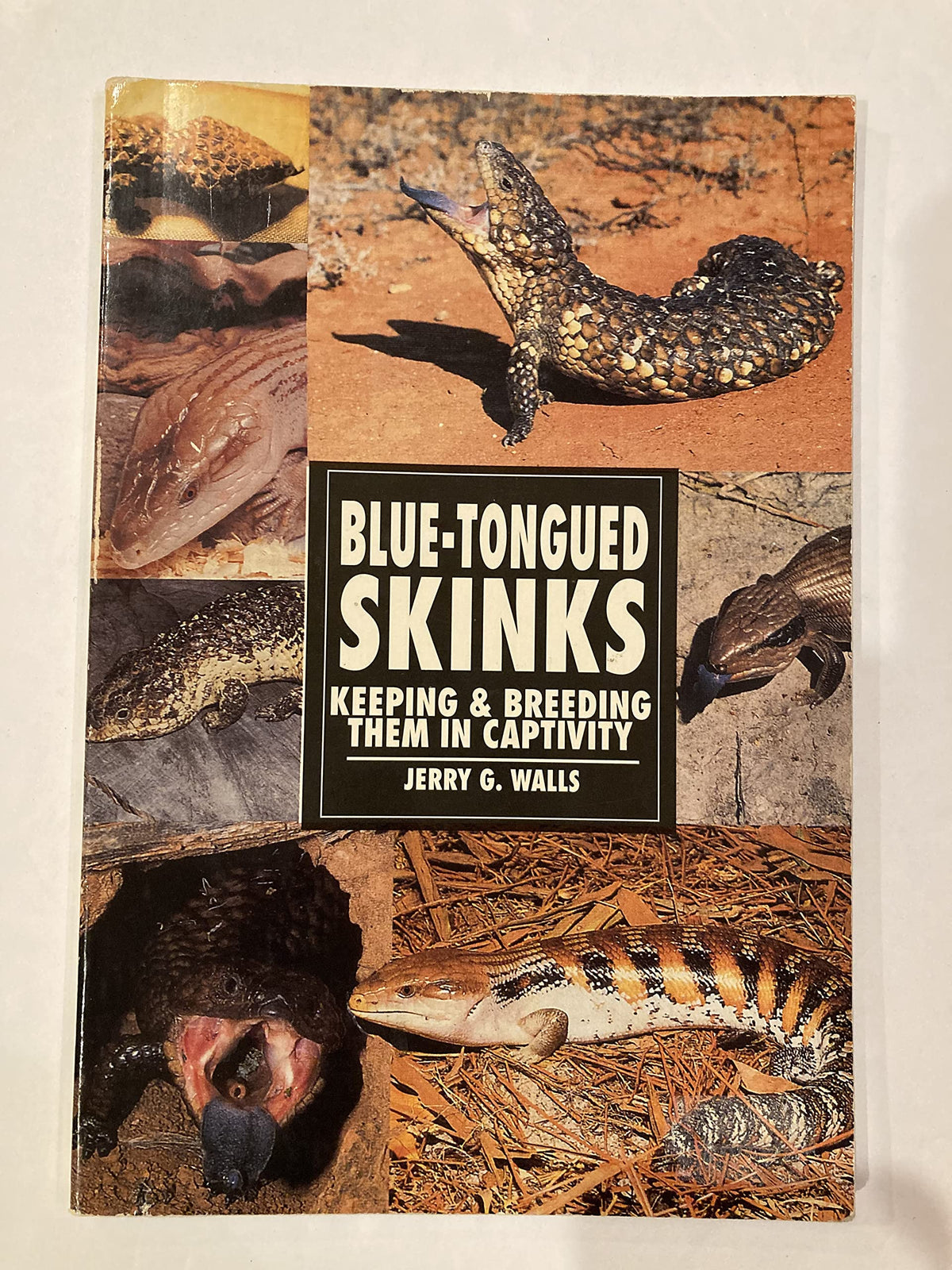 Blue-Tongued Skinks: Keeping & Breeding Them in Captivity