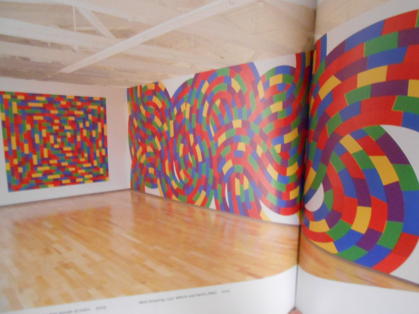 Sol LeWitt: 100 Views