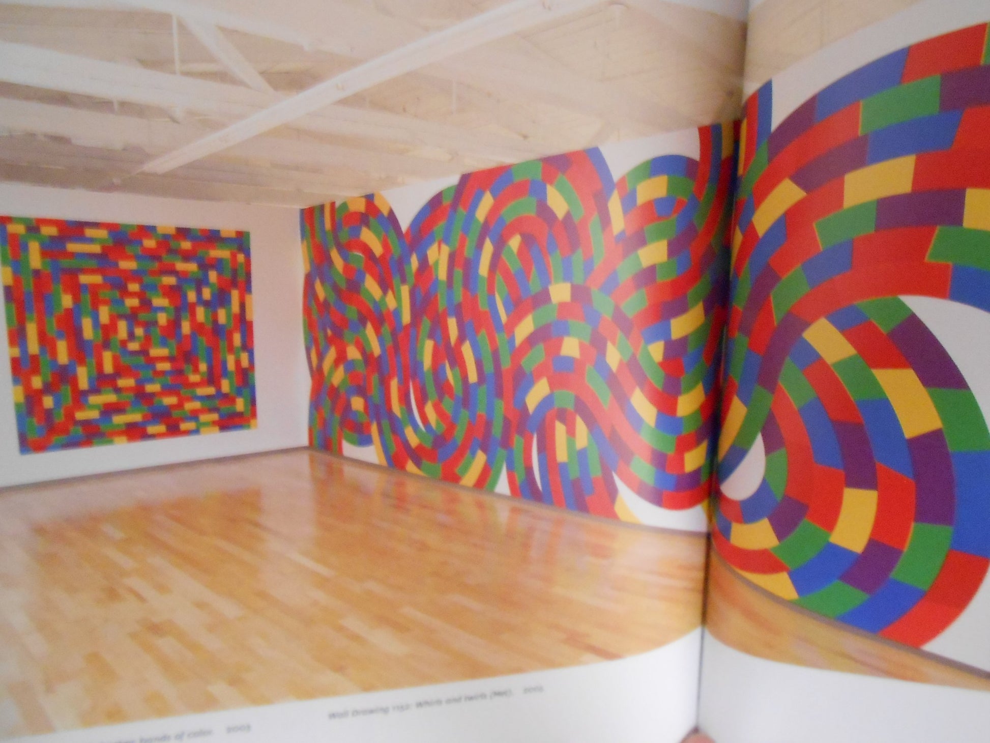 Sol LeWitt: 100 Views