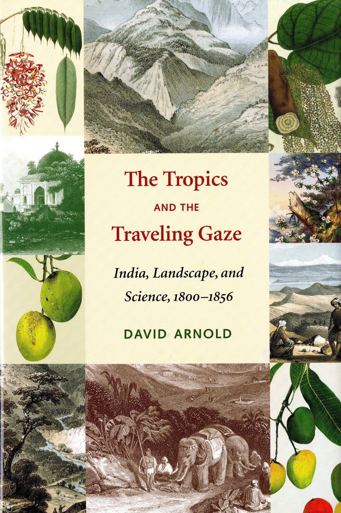 The Tropics and the Traveling Gaze: India, Landscape, and Science, 1800-1856 (Culture, Place, and Nature)