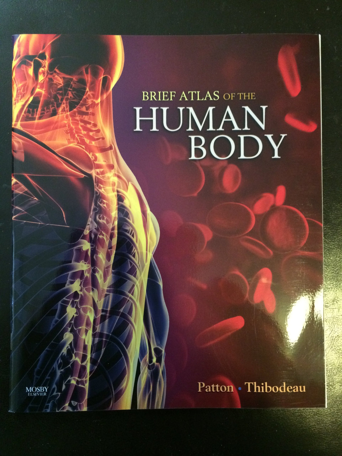 Anatomy & Physiology