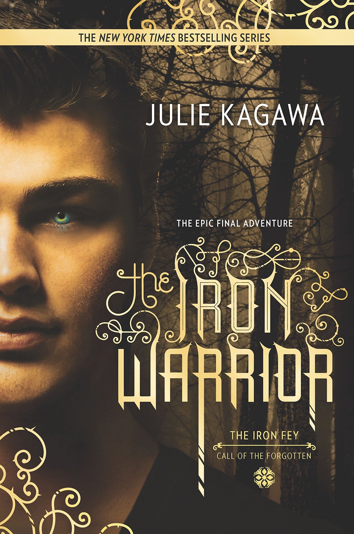 The Iron Warrior (The Iron Fey)