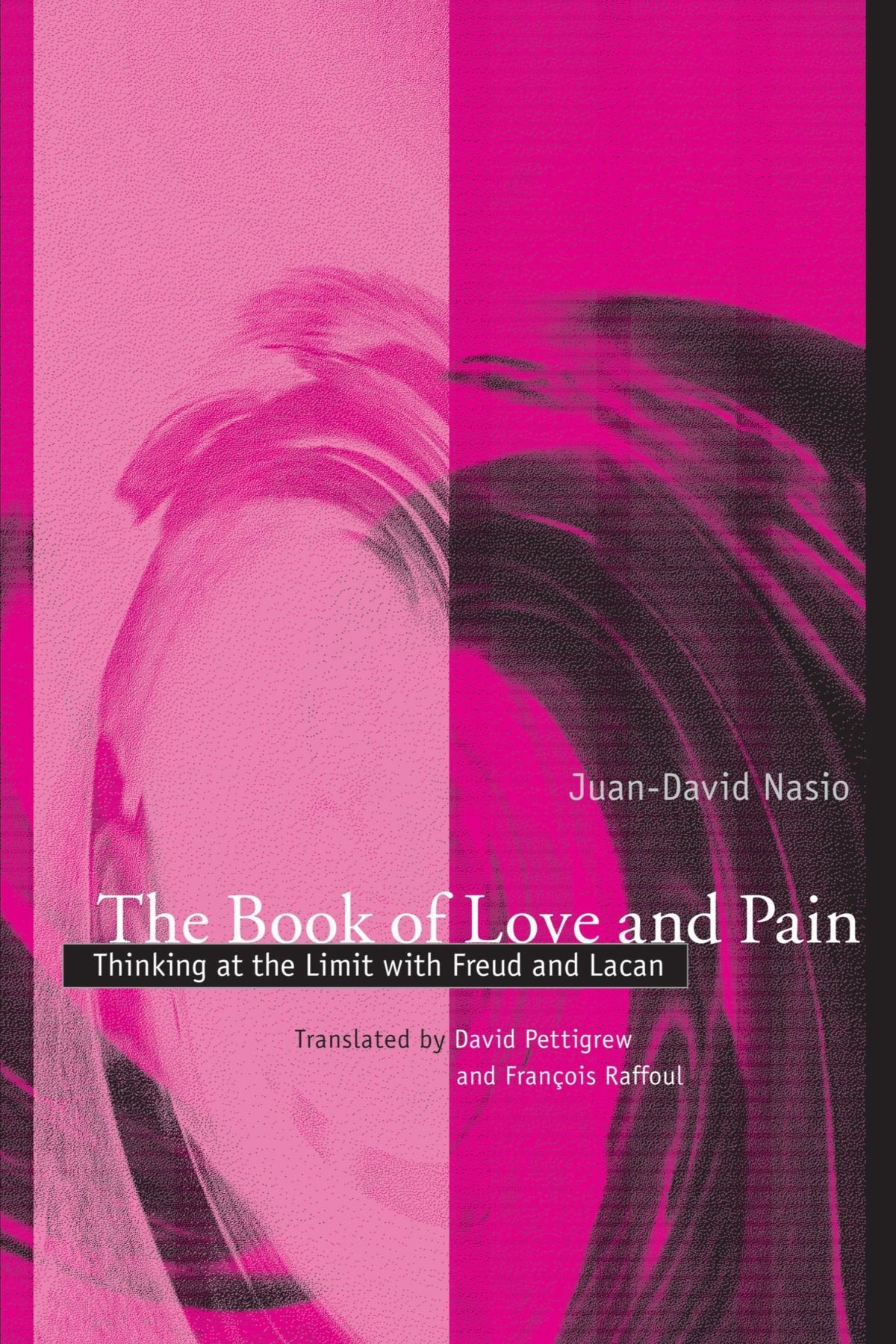 The Book of Love and Pain: Thinking at the Limit With Freud and Lacan (Psychoanalysis and Culture)