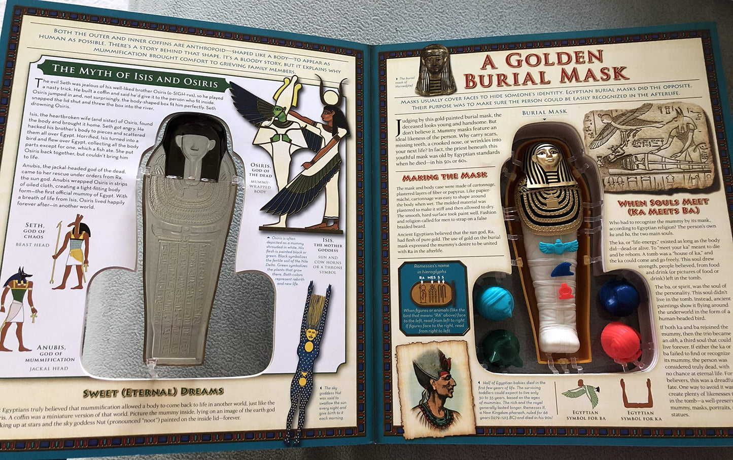 Explore Within an Egyptian Mummy