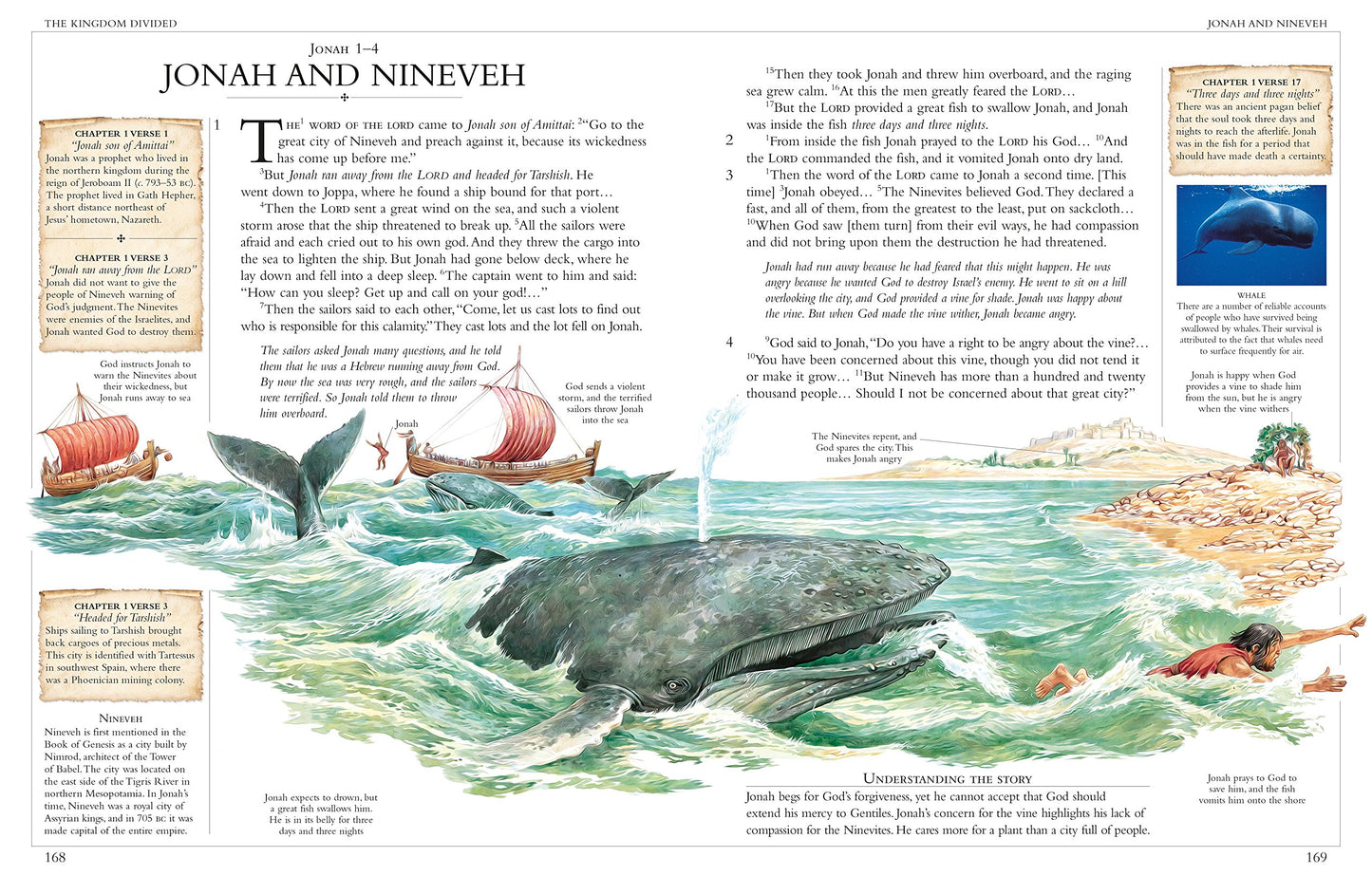 Illustrated Family Bible: Understanding the Greatest Story E