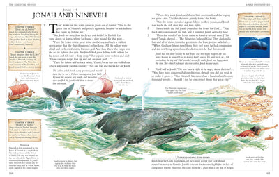Illustrated Family Bible: Understanding the Greatest Story E